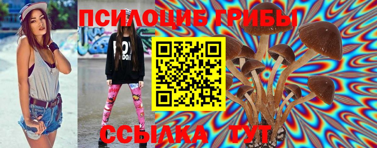 Галлюциногенные грибы Magic Shrooms  Вход с VPN  Качканар 
